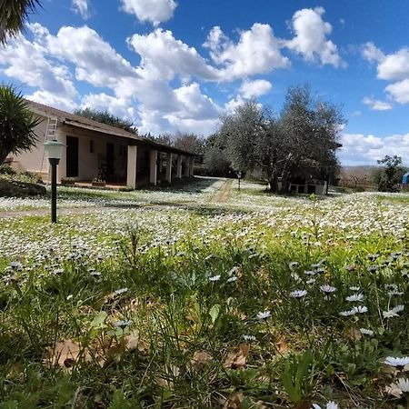 Agriturismo Bio Pian Dei Casali Saturnia Dış mekan fotoğraf