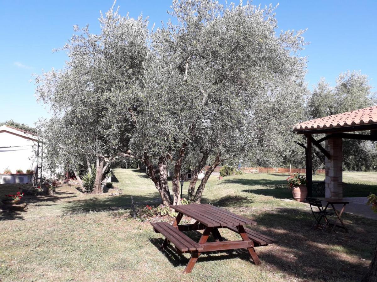 Agriturismo Bio Pian Dei Casali Saturnia Dış mekan fotoğraf