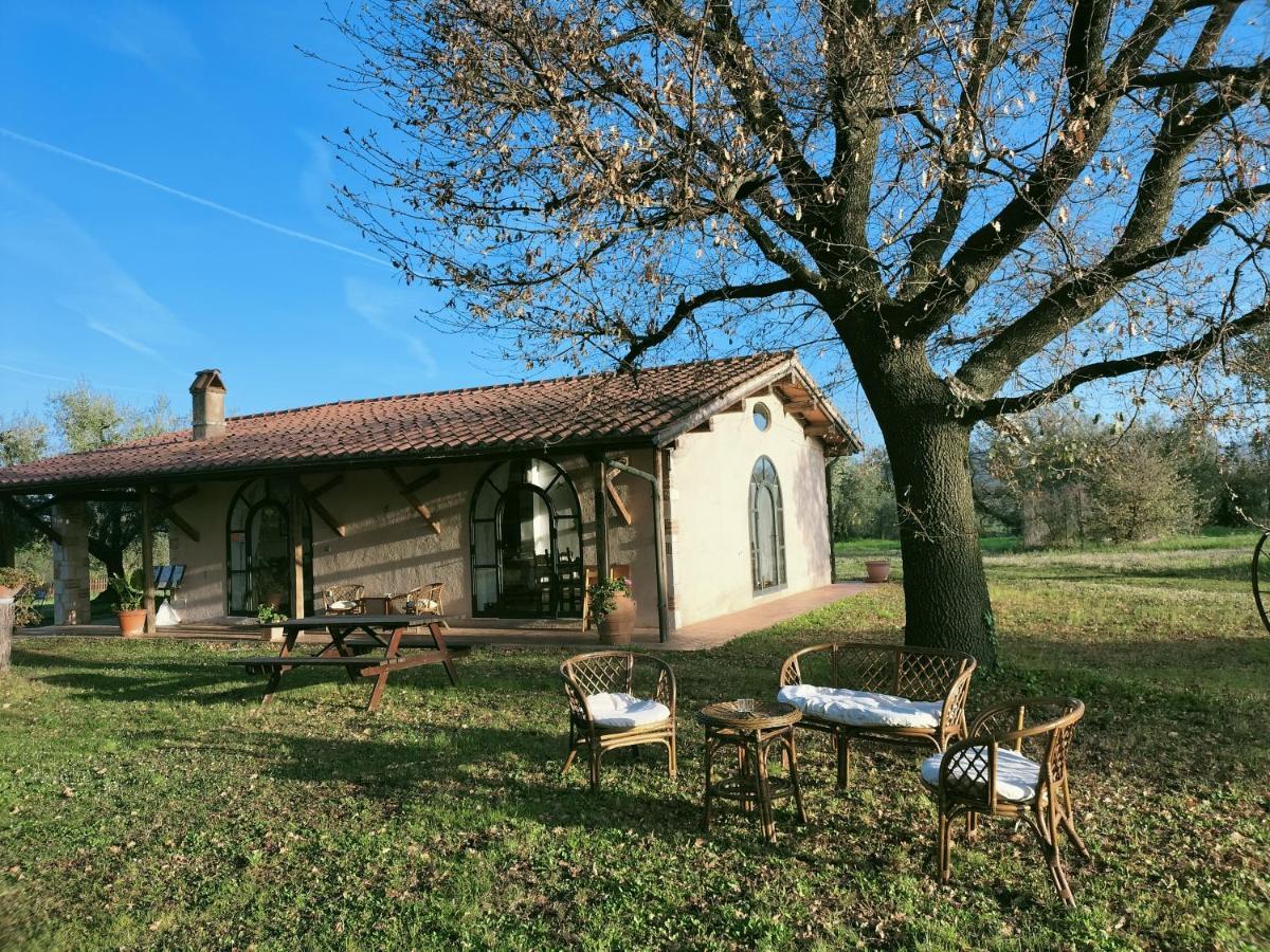 Agriturismo Bio Pian Dei Casali Saturnia Dış mekan fotoğraf