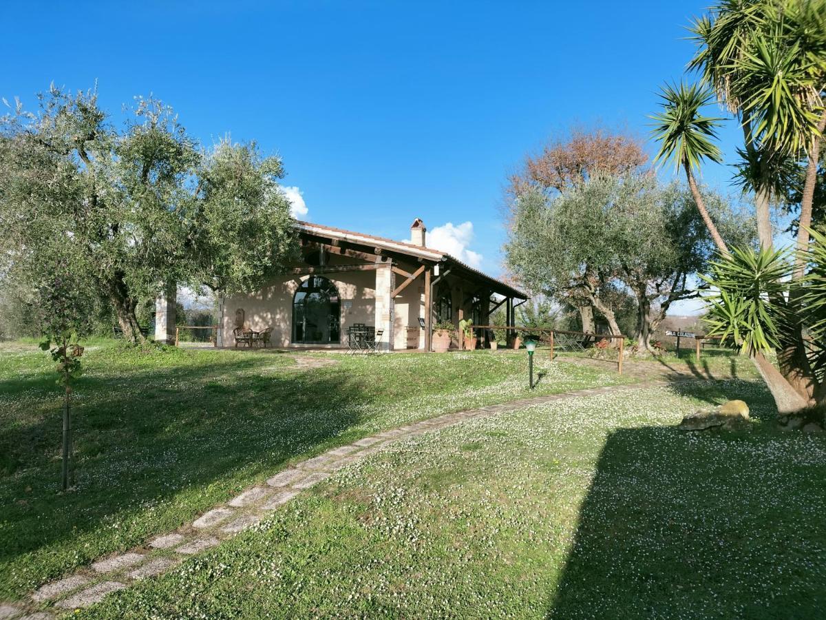 Agriturismo Bio Pian Dei Casali Saturnia Dış mekan fotoğraf
