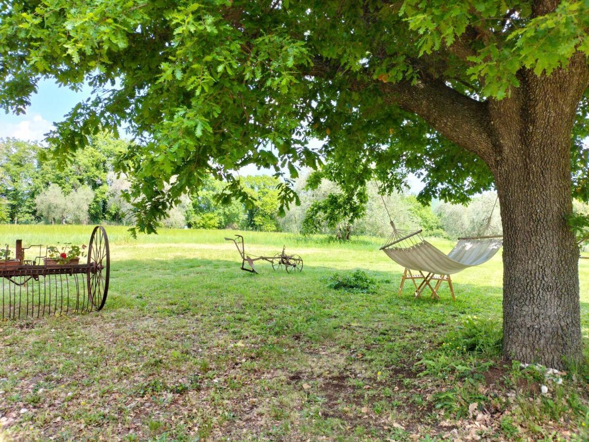 Agriturismo Bio Pian Dei Casali Saturnia Dış mekan fotoğraf