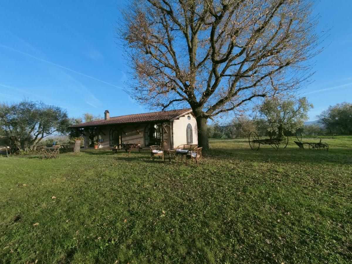 Agriturismo Bio Pian Dei Casali Saturnia Dış mekan fotoğraf
