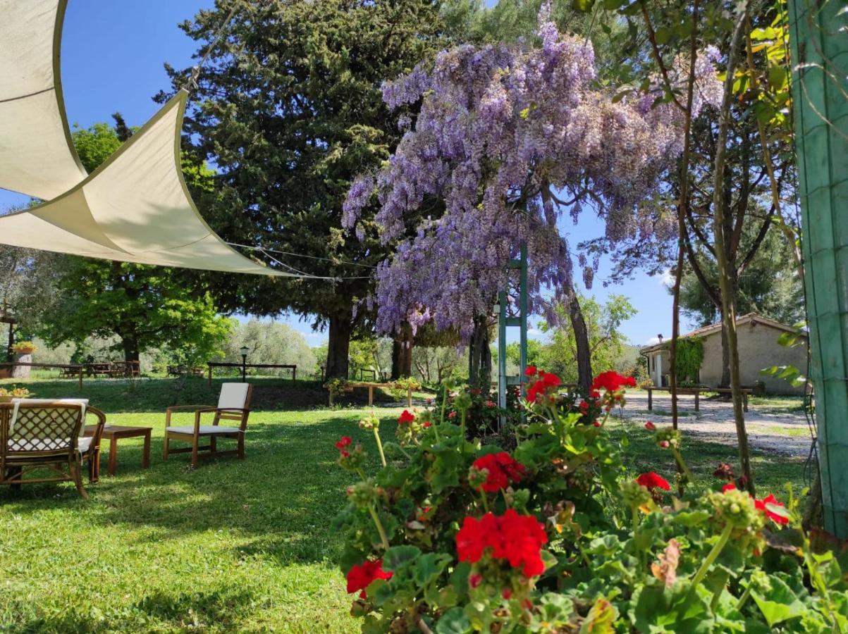 Agriturismo Bio Pian Dei Casali Saturnia Dış mekan fotoğraf