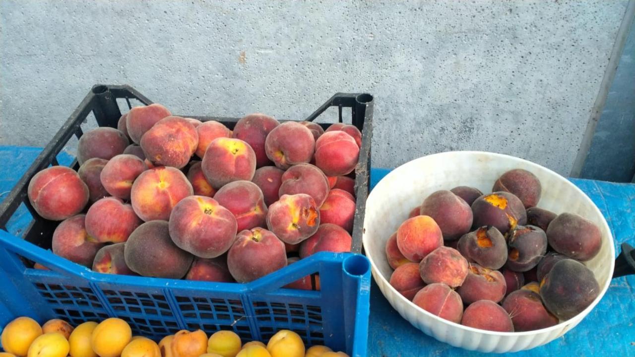 Agriturismo Bio Pian Dei Casali Saturnia Dış mekan fotoğraf