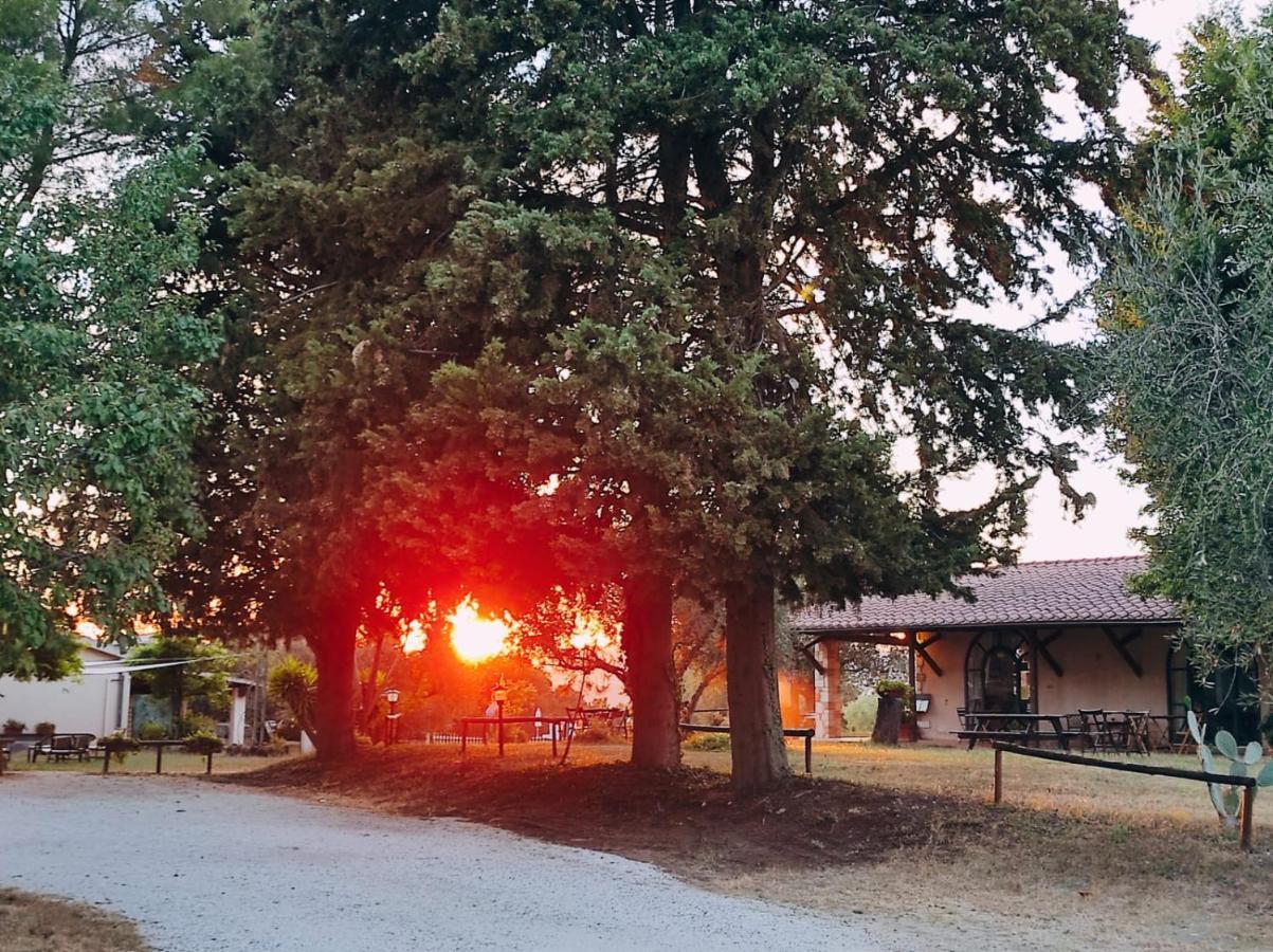 Agriturismo Bio Pian Dei Casali Saturnia Dış mekan fotoğraf