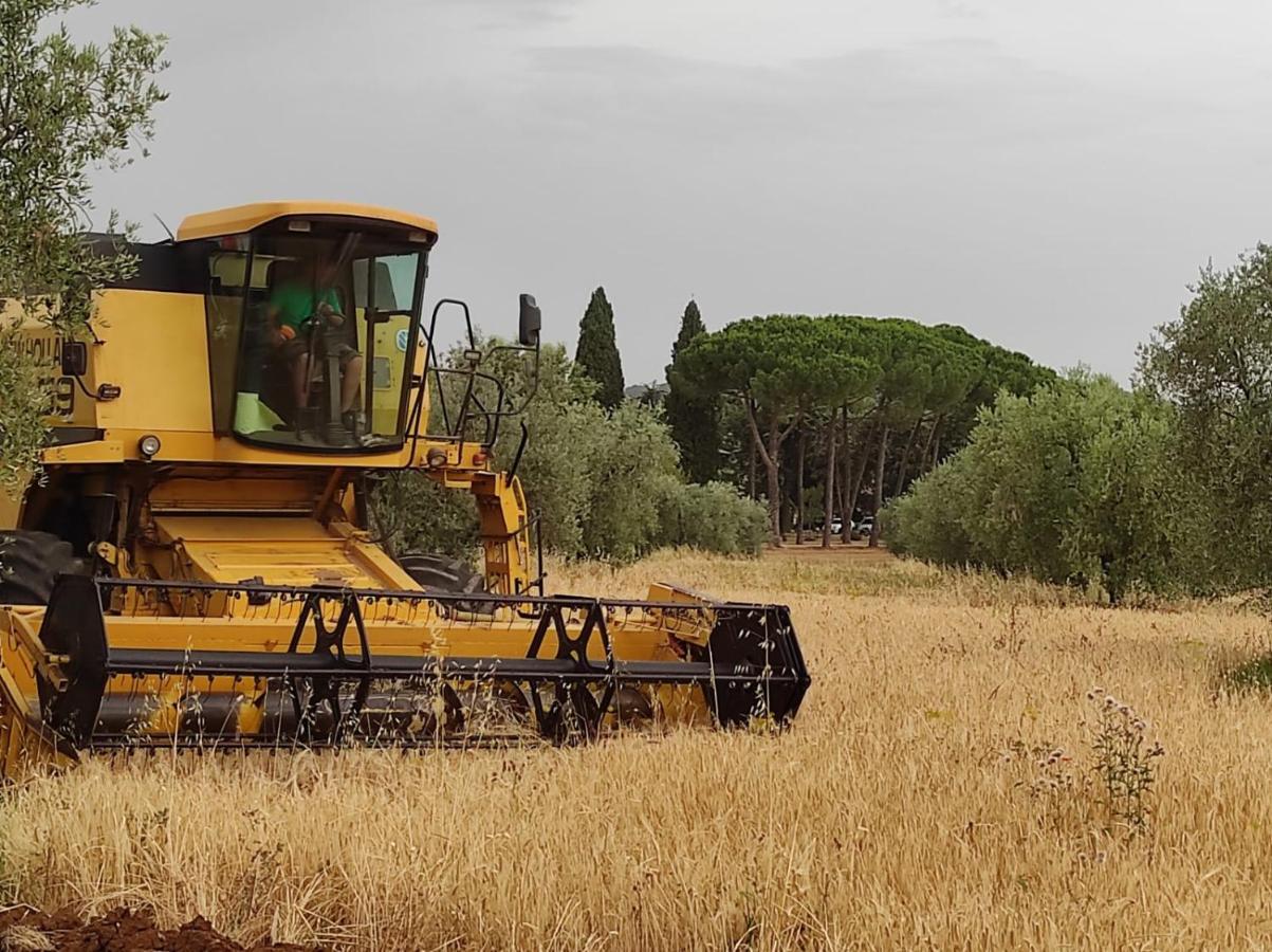 Agriturismo Bio Pian Dei Casali Saturnia Dış mekan fotoğraf
