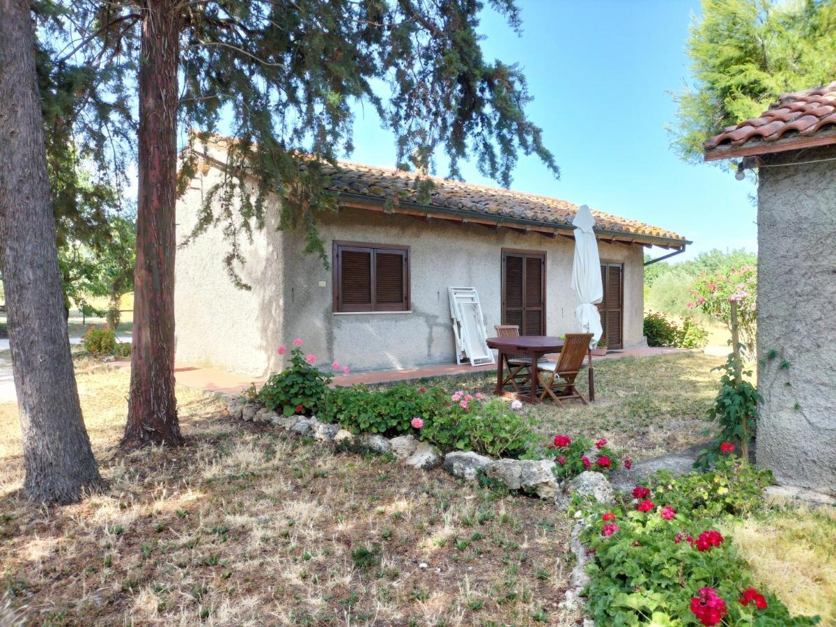 Agriturismo Bio Pian Dei Casali Saturnia Dış mekan fotoğraf