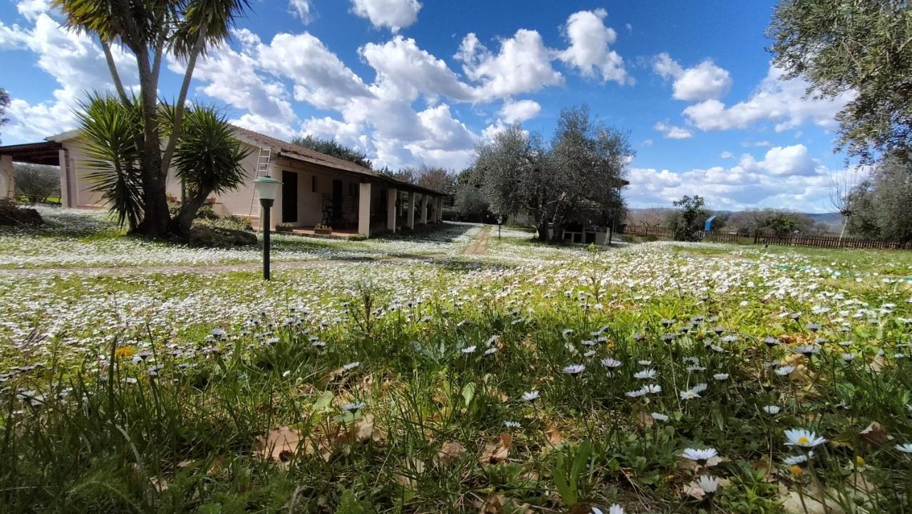 Agriturismo Bio Pian Dei Casali Saturnia Dış mekan fotoğraf