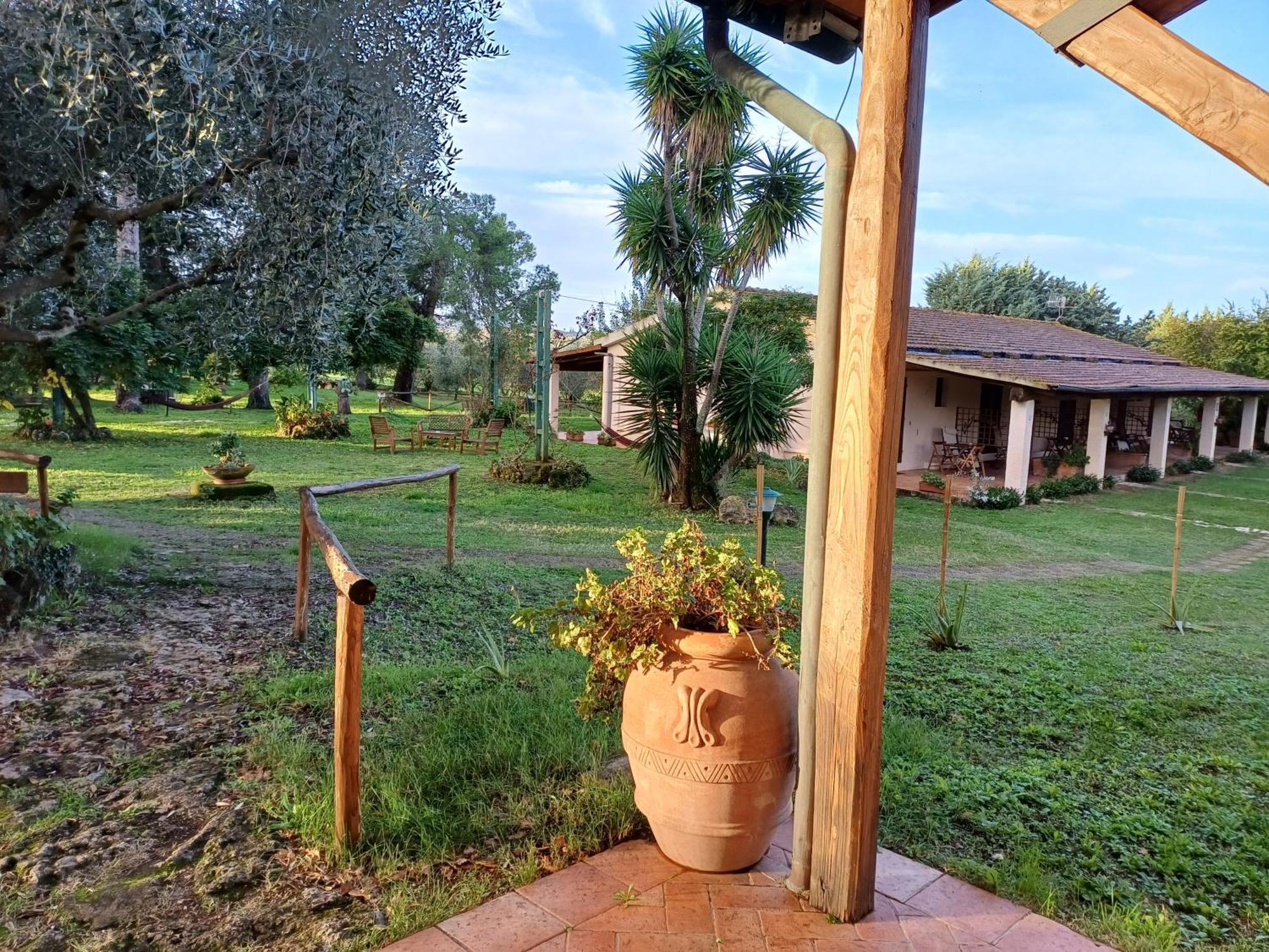 Agriturismo Bio Pian Dei Casali Saturnia Dış mekan fotoğraf