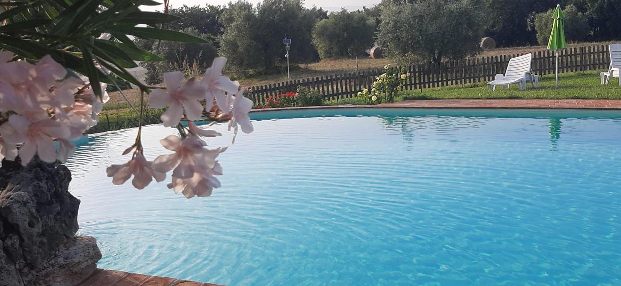 Agriturismo Bio Pian Dei Casali Saturnia Dış mekan fotoğraf
