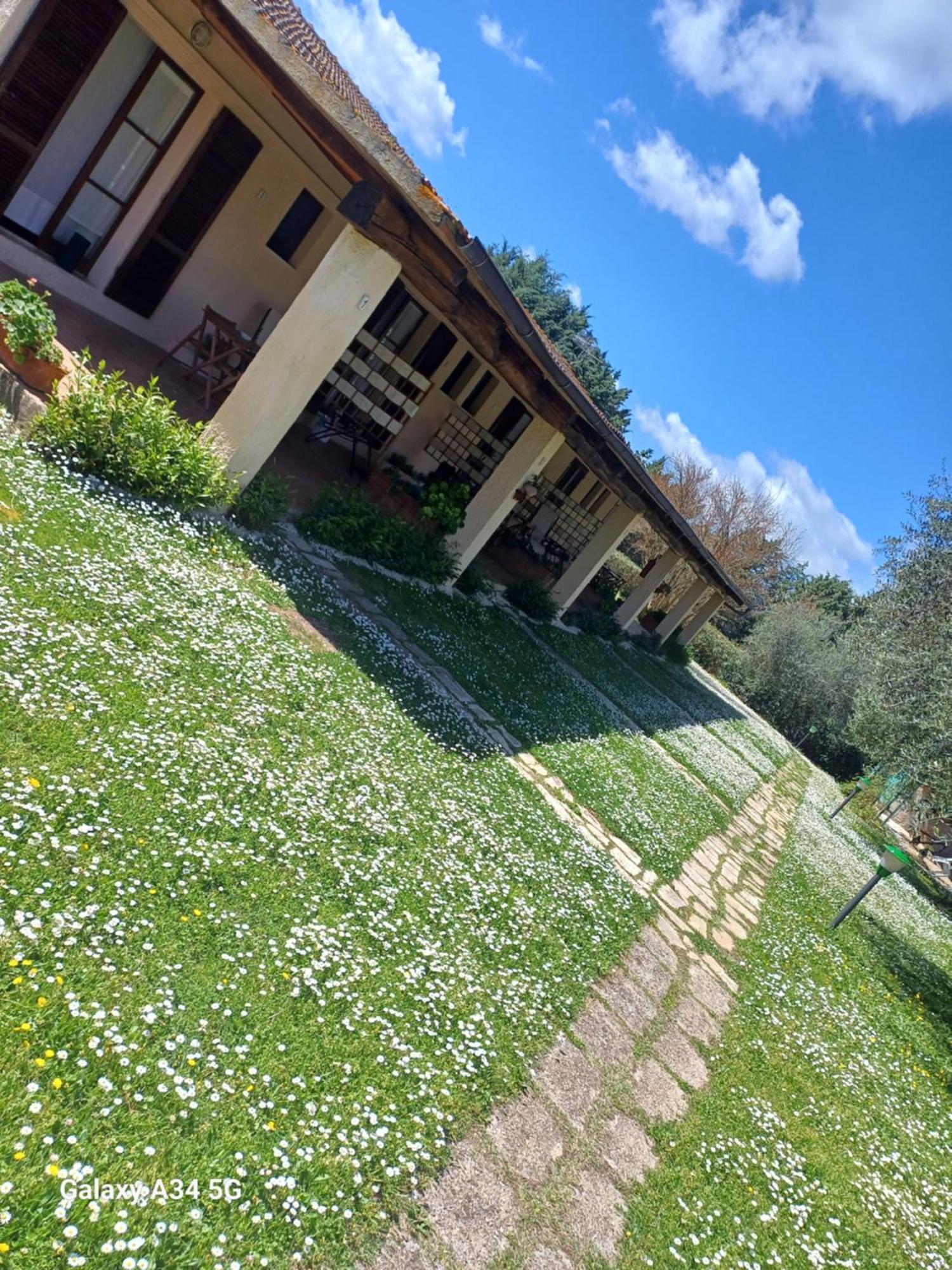 Agriturismo Bio Pian Dei Casali Saturnia Dış mekan fotoğraf
