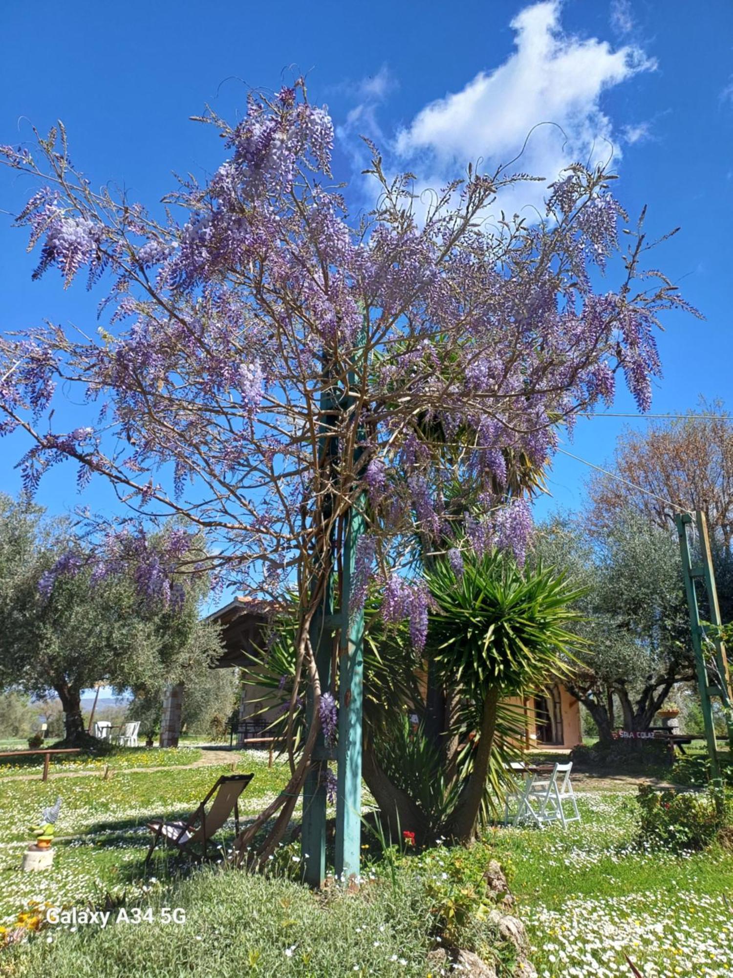 Agriturismo Bio Pian Dei Casali Saturnia Dış mekan fotoğraf