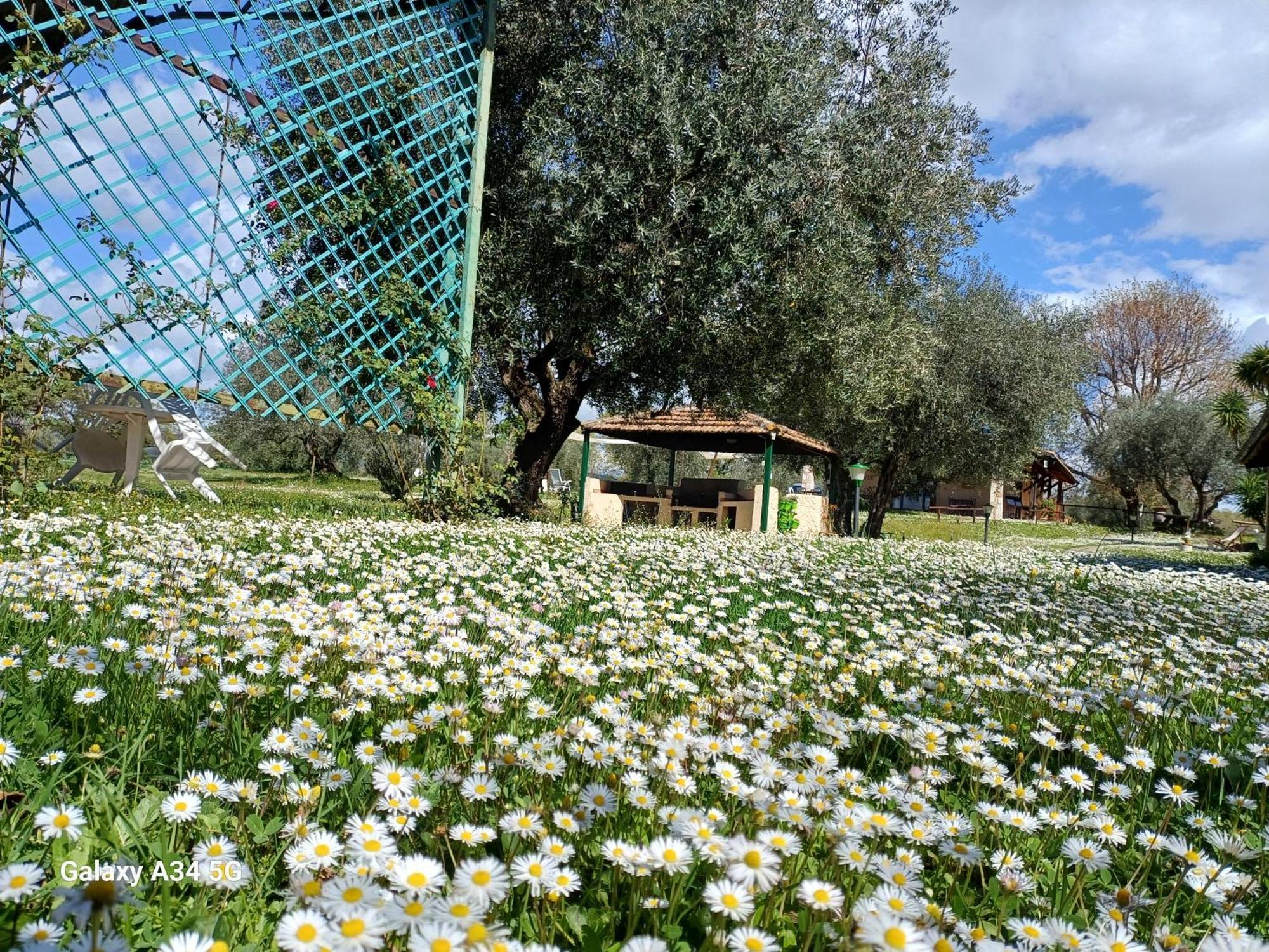 Agriturismo Bio Pian Dei Casali Saturnia Dış mekan fotoğraf