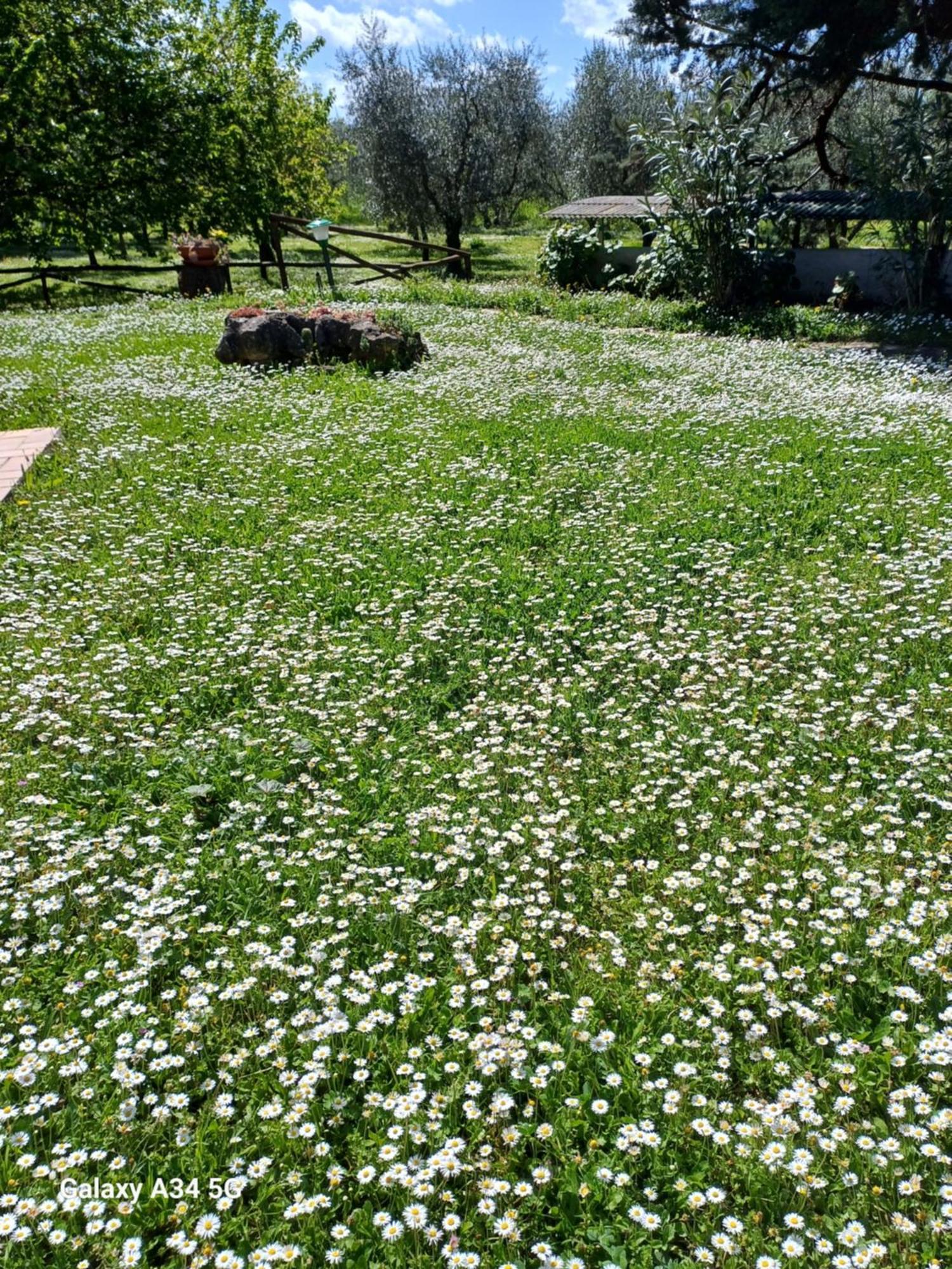 Agriturismo Bio Pian Dei Casali Saturnia Dış mekan fotoğraf