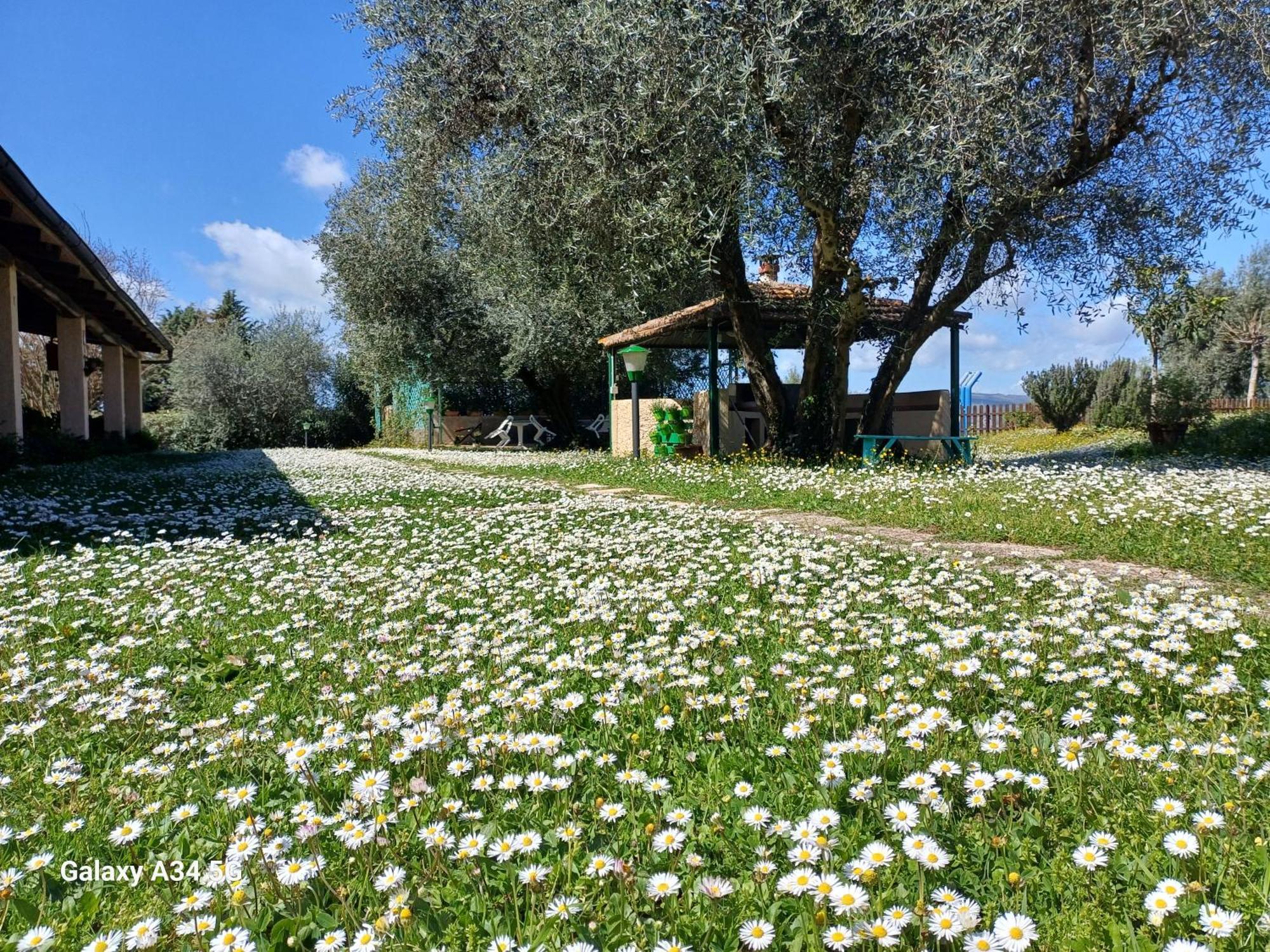 Agriturismo Bio Pian Dei Casali Saturnia Dış mekan fotoğraf