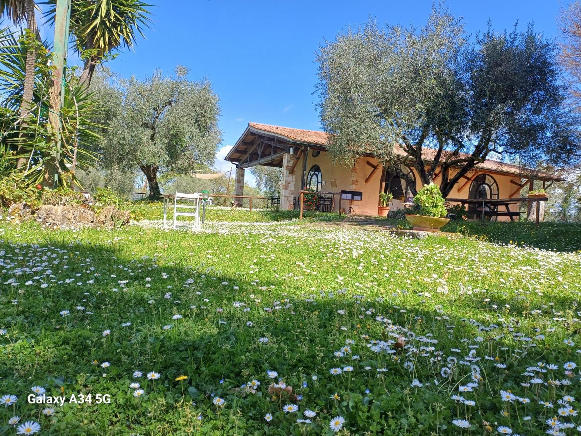 Agriturismo Bio Pian Dei Casali Saturnia Dış mekan fotoğraf