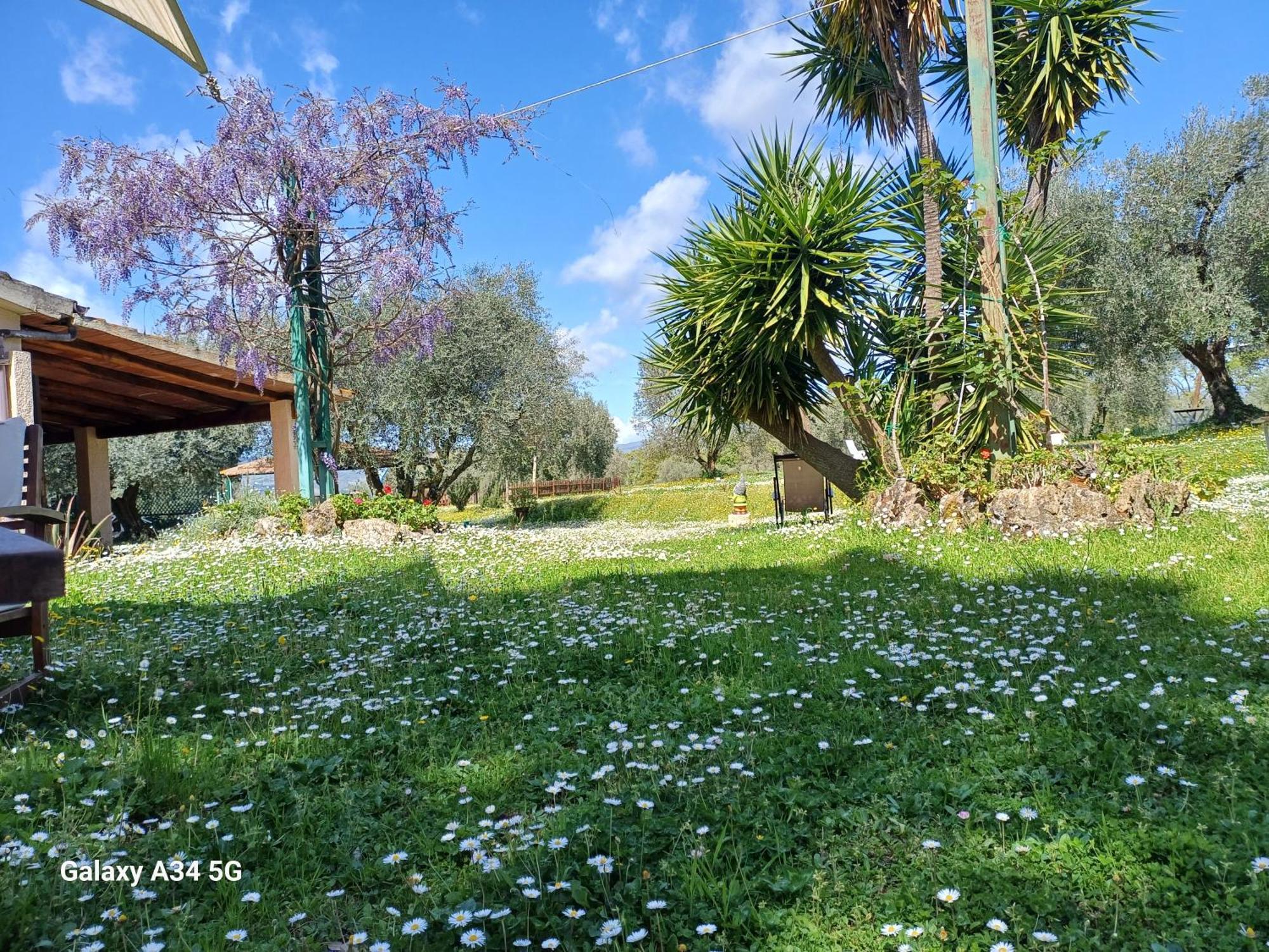 Agriturismo Bio Pian Dei Casali Saturnia Dış mekan fotoğraf