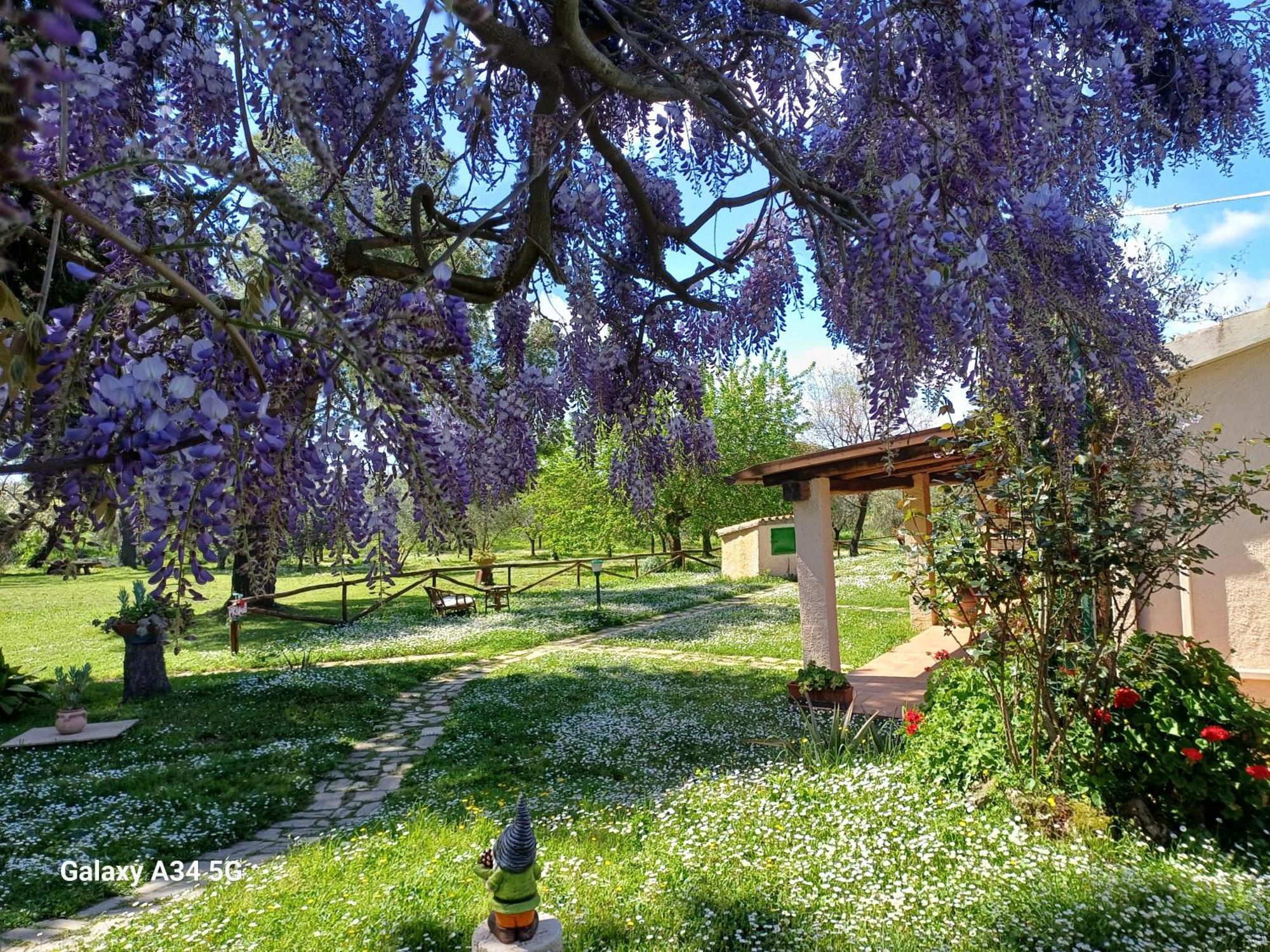 Agriturismo Bio Pian Dei Casali Saturnia Dış mekan fotoğraf
