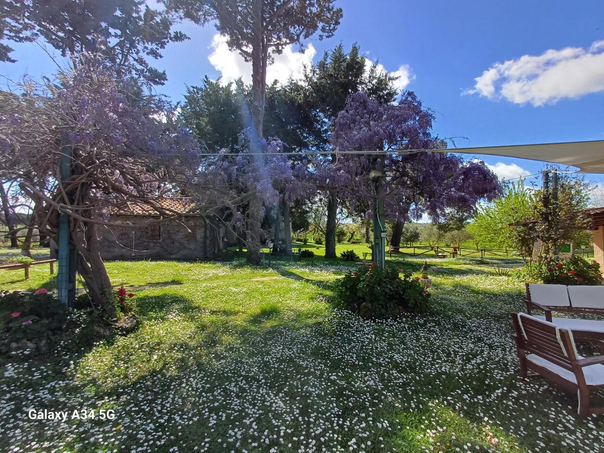Agriturismo Bio Pian Dei Casali Saturnia Dış mekan fotoğraf