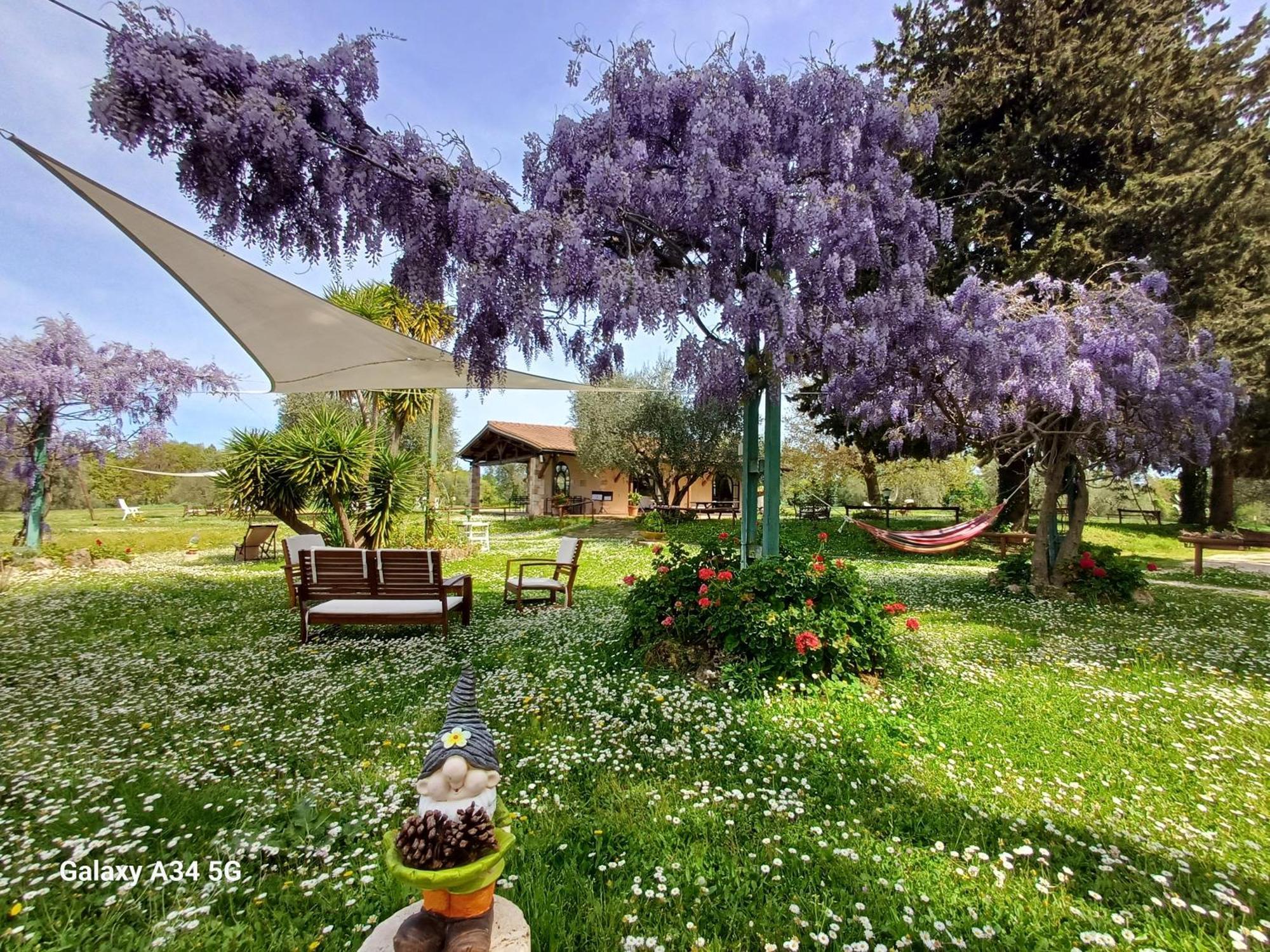 Agriturismo Bio Pian Dei Casali Saturnia Dış mekan fotoğraf